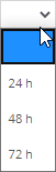 dayoption.png