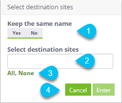 Copy_Options.png