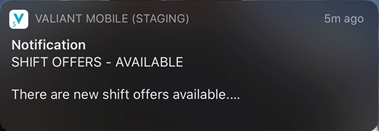 mceclip10.png