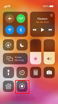 mceclip5.png